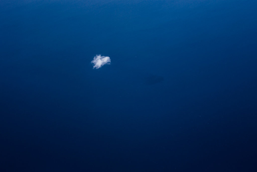 evelyn-pritt-flight-ocean-06-20150108-IMG-9328-1200px.jpg