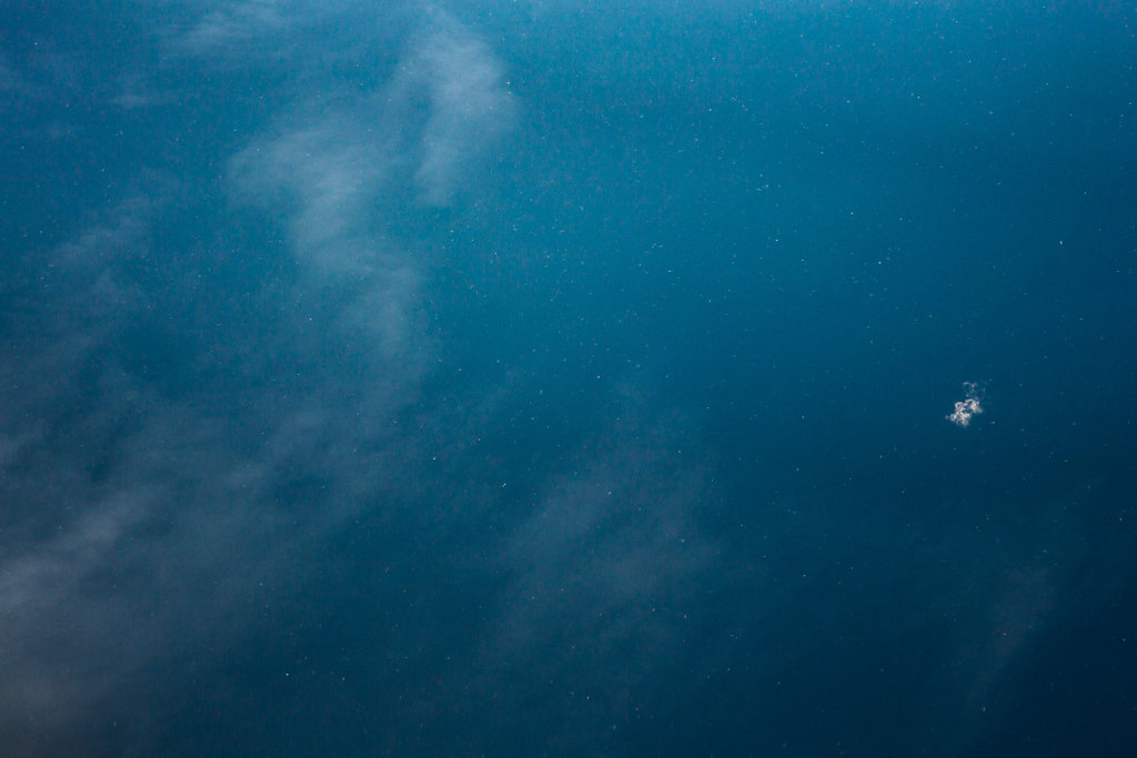 evelyn-pritt-flight-ocean-11-20150108-IMG-9431-1200px.jpg